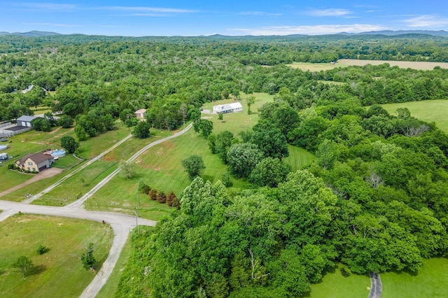 birds eye view of property featuring a mountain view