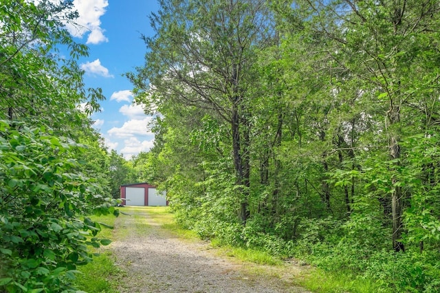 view of yard with a garage and an outbuilding