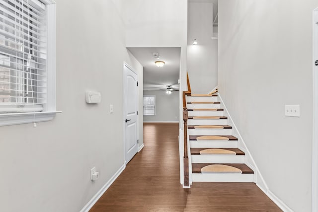 staircase with hardwood / wood-style flooring and ceiling fan