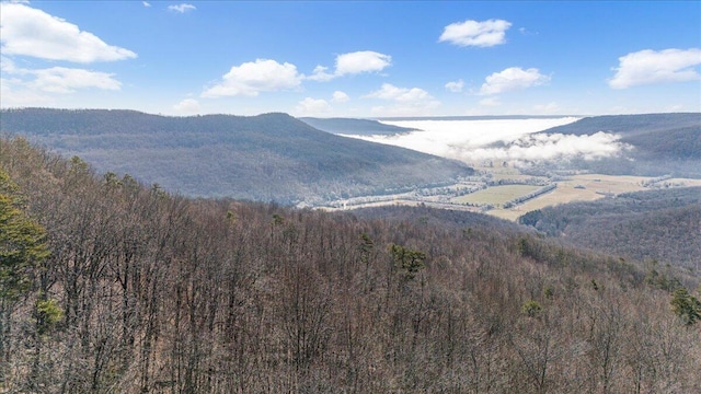 Listing photo 2 for 0 Old Harris Turnpike Rd, South Pittsburg TN 37380