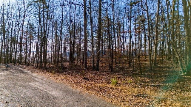 Listing photo 3 for 0 Old Harris Turnpike Rd, South Pittsburg TN 37380