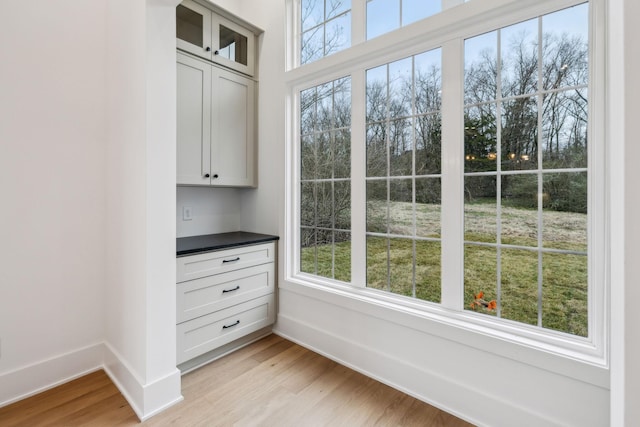 interior space with light hardwood / wood-style flooring and plenty of natural light