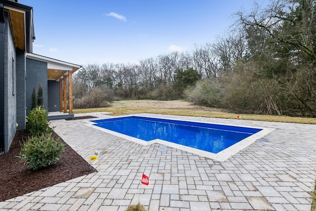 view of swimming pool with a patio