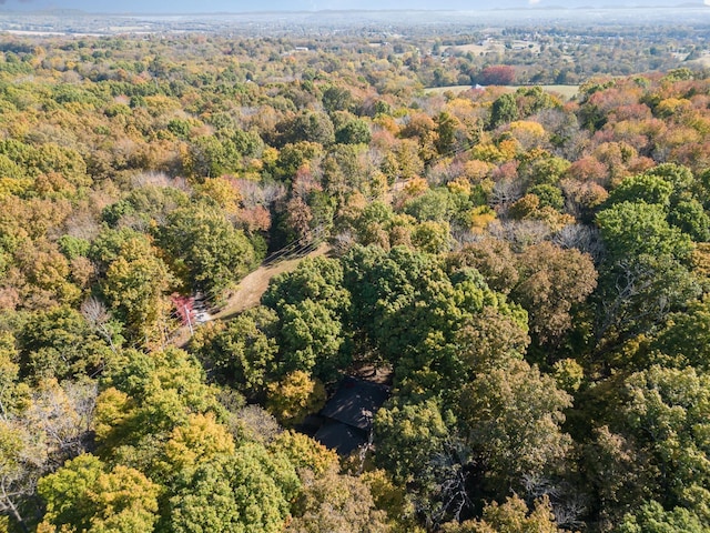 bird's eye view