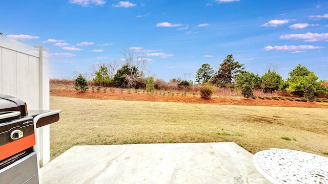 view of yard featuring a patio area