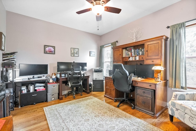 office featuring ceiling fan and light hardwood / wood-style flooring