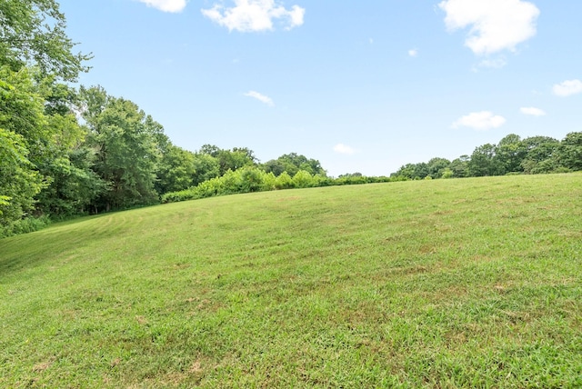 view of yard featuring a rural view