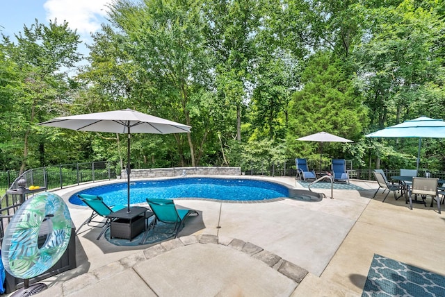 view of swimming pool with a patio