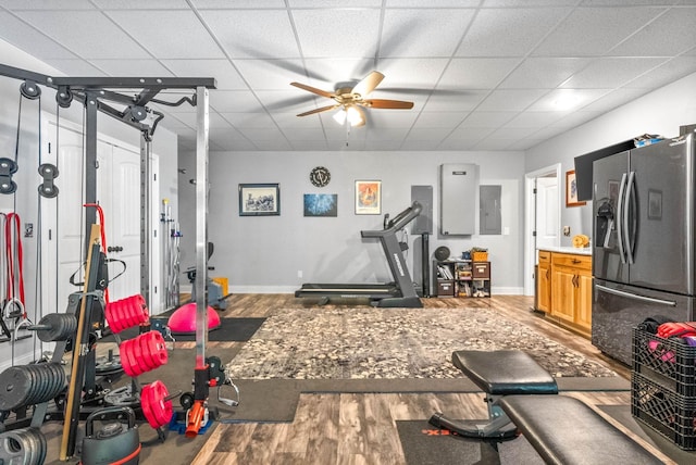 exercise area with hardwood / wood-style floors, a paneled ceiling, electric panel, and ceiling fan