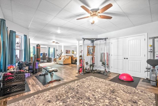 workout area featuring ceiling fan, a paneled ceiling, and wood-type flooring