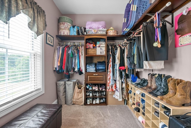 walk in closet featuring carpet