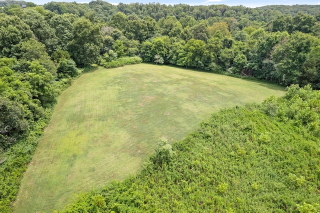 bird's eye view