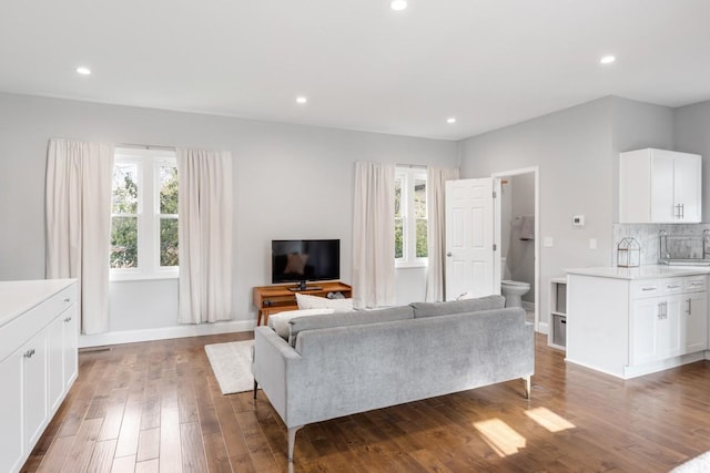 living room featuring wood-type flooring and sink