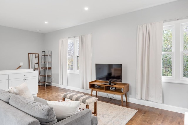 living room featuring wood-type flooring and plenty of natural light