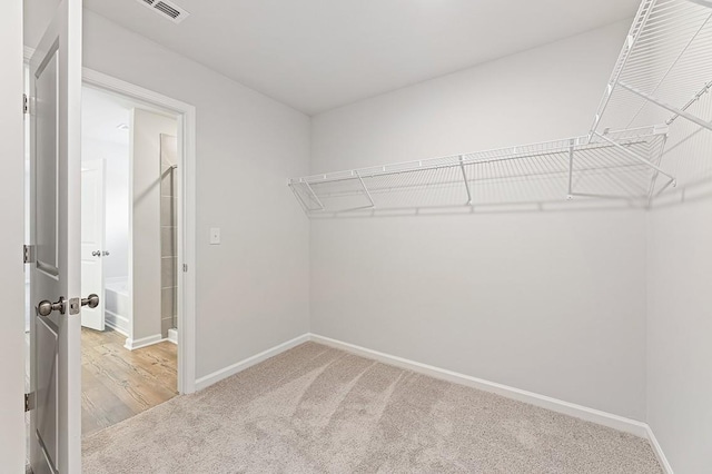 walk in closet with carpet flooring