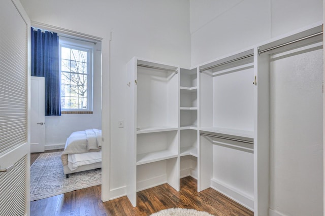 spacious closet featuring dark hardwood / wood-style floors