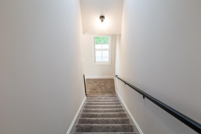 stairs featuring carpet floors