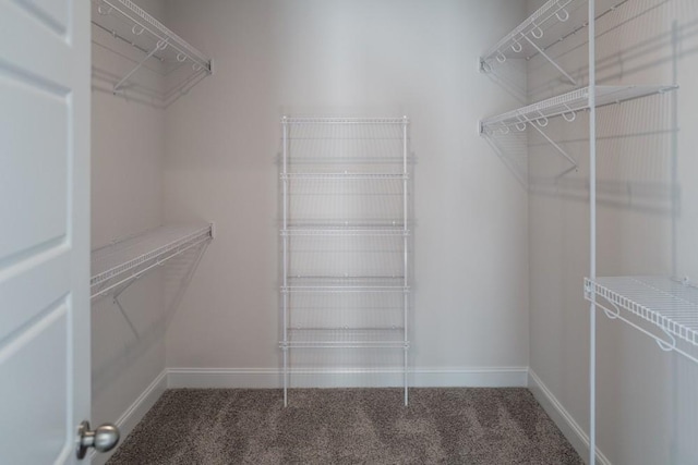 spacious closet featuring carpet flooring