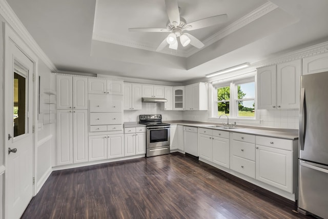 kitchen with sink, dark hardwood / wood-style floors, a raised ceiling, stainless steel appliances, and white cabinets