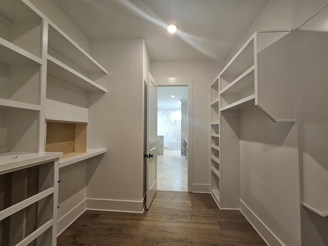 walk in closet featuring dark hardwood / wood-style flooring