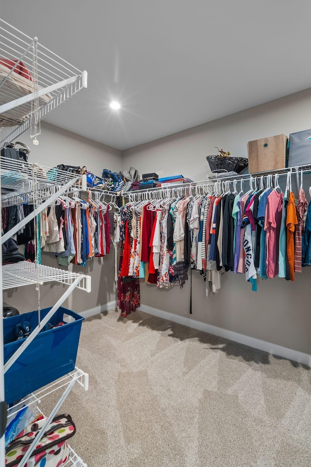 walk in closet with carpet flooring