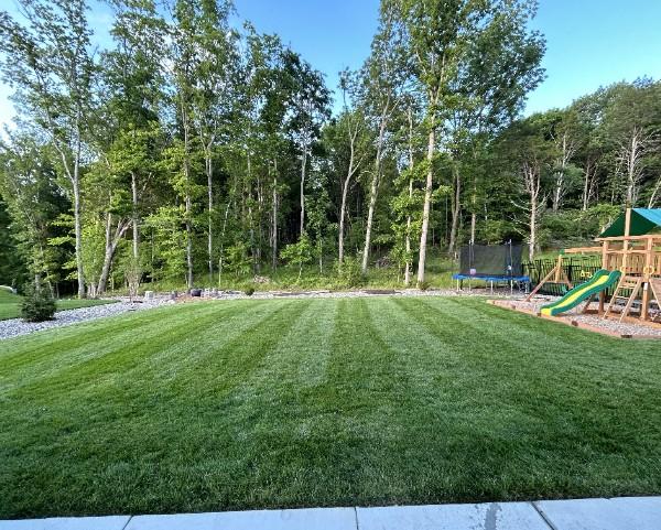 view of yard featuring a playground and a trampoline