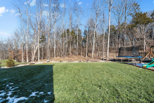 view of yard with a trampoline and a playground