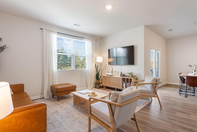 living room featuring wood-type flooring