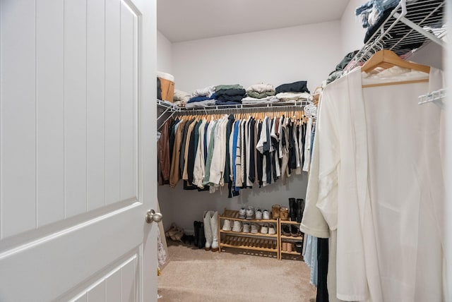 spacious closet with carpet flooring