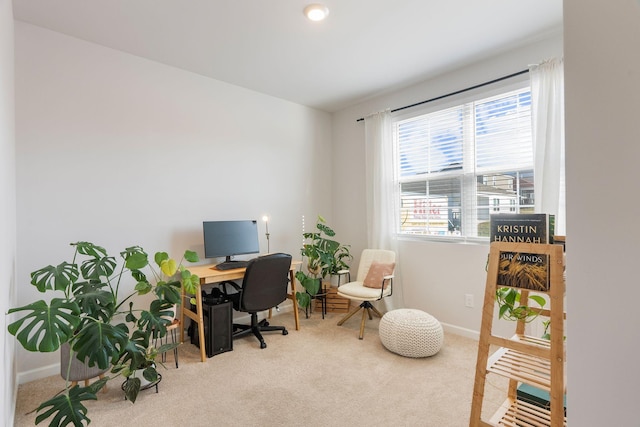 office area with light colored carpet