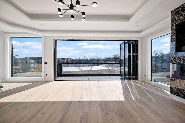 empty room with hardwood / wood-style flooring, plenty of natural light, and a raised ceiling