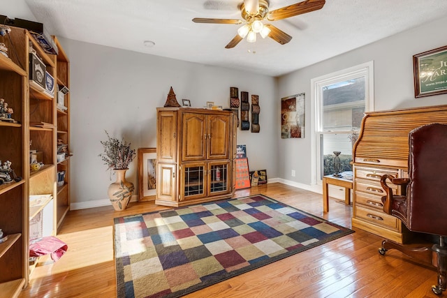 office space with ceiling fan and light hardwood / wood-style flooring