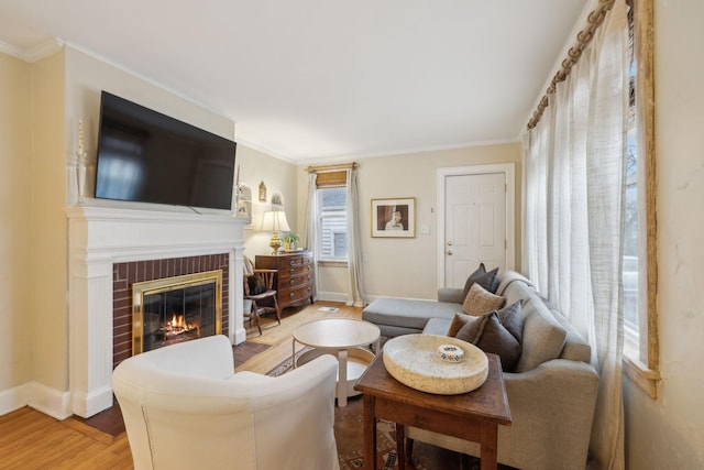 living room featuring wood-type flooring, ornamental molding, and a fireplace