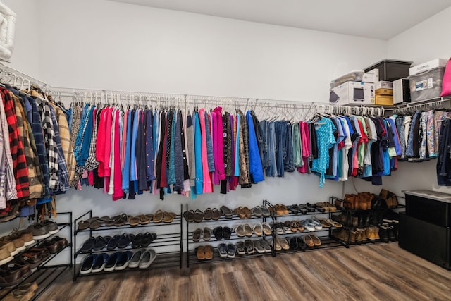 spacious closet featuring dark hardwood / wood-style floors