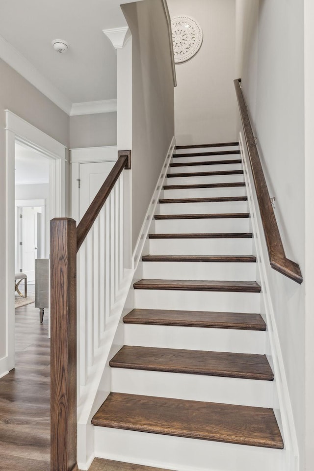 stairway with wood-type flooring and ornamental molding