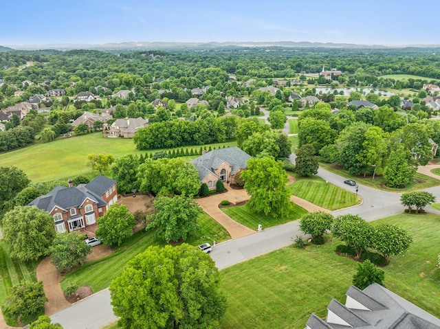 bird's eye view