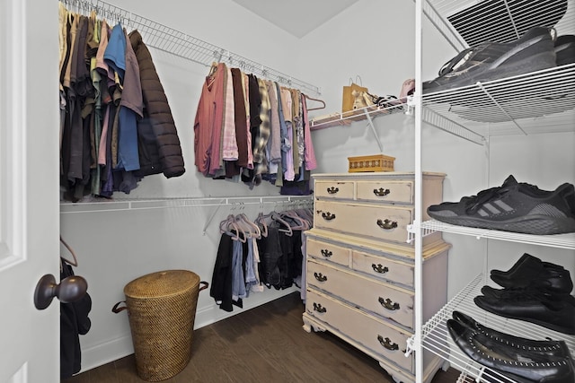 spacious closet with dark hardwood / wood-style floors