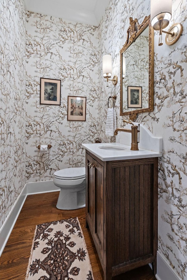 bathroom featuring vanity, toilet, and hardwood / wood-style floors