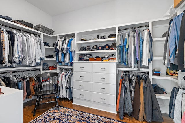 spacious closet featuring dark hardwood / wood-style floors