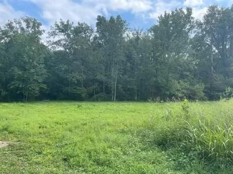 1527 Old Gallatin Rd, Portland TN, 37148 land for sale