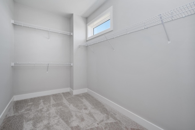 spacious closet with carpet flooring