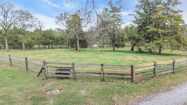 view of yard with a rural view