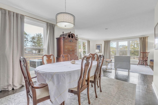 dining space featuring hardwood / wood-style floors