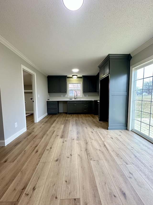 interior space with sink, crown molding, a textured ceiling, and light wood-type flooring