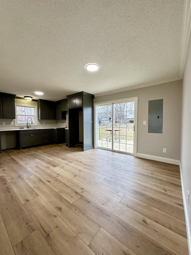 interior space featuring sink, light hardwood / wood-style flooring, electric panel, ornamental molding, and a textured ceiling