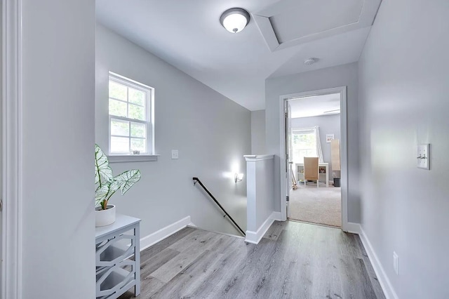 hall with light wood-type flooring