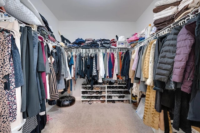 spacious closet featuring carpet flooring