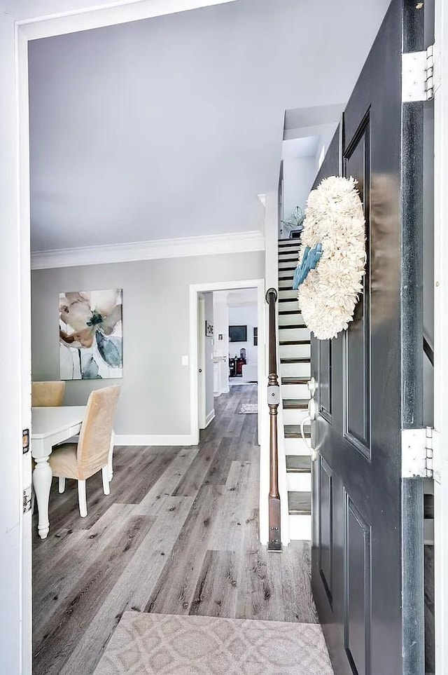 foyer featuring wood-type flooring and ornamental molding