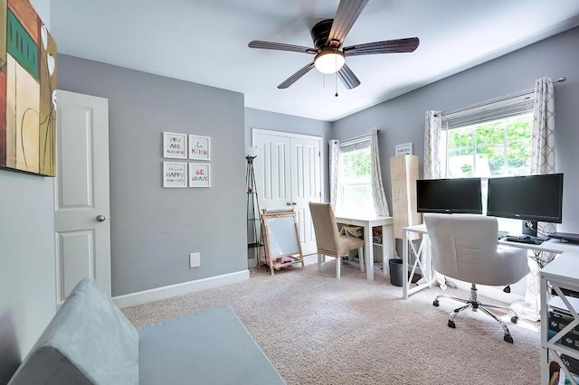 office space with ceiling fan and carpet flooring