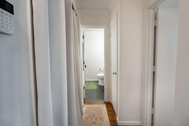 hallway featuring dark wood-type flooring and crown molding